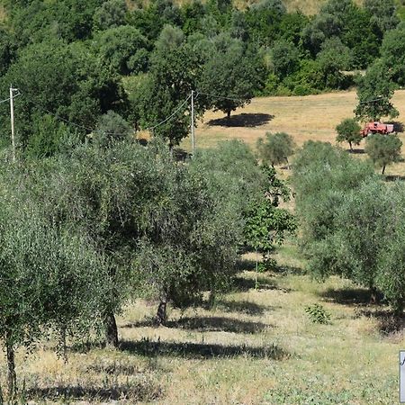 Nonnogennaro Villa Matonti Buitenkant foto